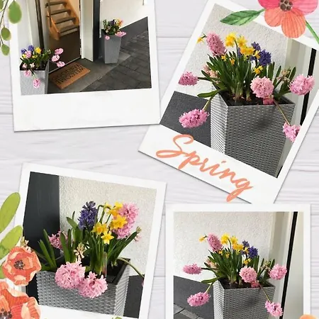 Heil Сasa de vacaciones *