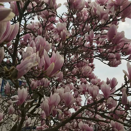 Heil Сasa de vacaciones *