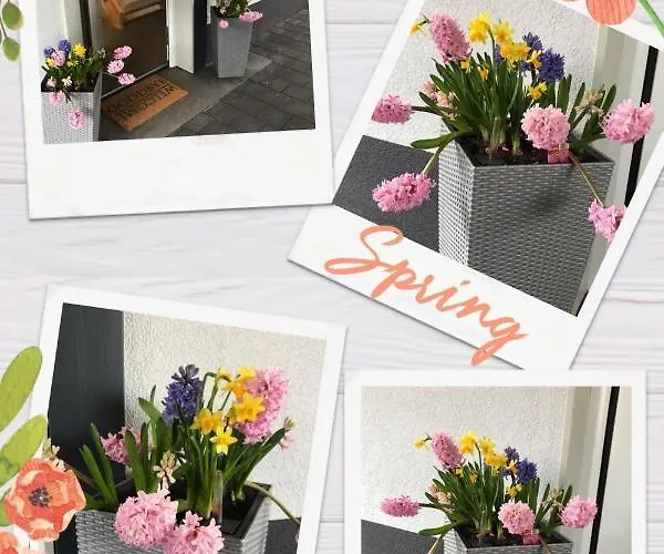 Heil Casa de Férias *