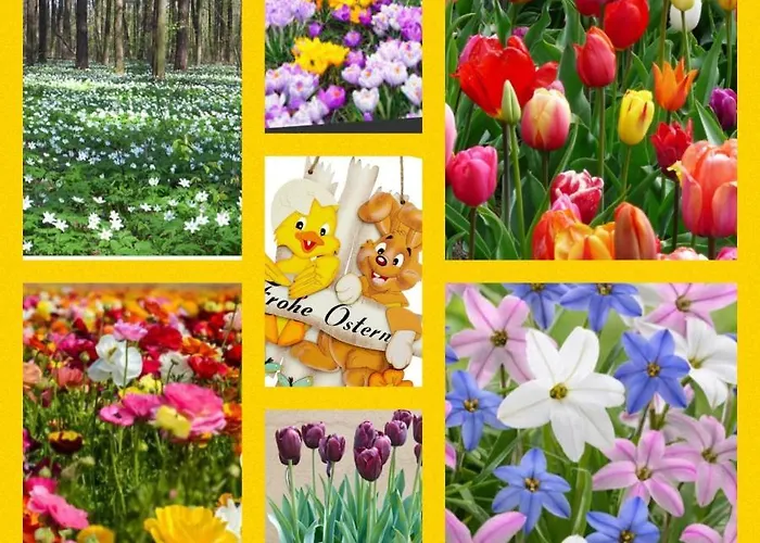 Heil Feriehus Neustadt an der Weinstraße