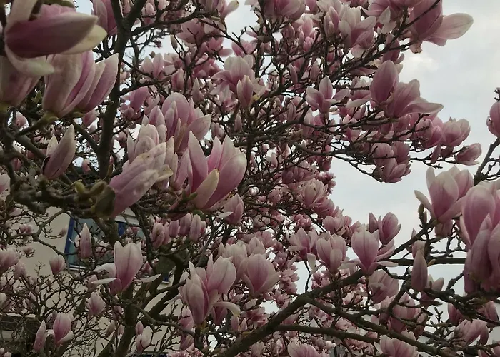 Heil Casa de Férias *